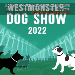 Artistic representation for Here Way To Watch Westminster Dog Show 2025 ＬＩＶＥ 𝐒𝐭𝐫𝐞𝐚𝐦𝐬 𝙵𝚛𝚎𝚎 𝖮𝗇𝗅𝗂𝗇𝖾 ＯＮ Private Ｔｖ Ｃｈａｎｎｅｌ MyCentralOregon com