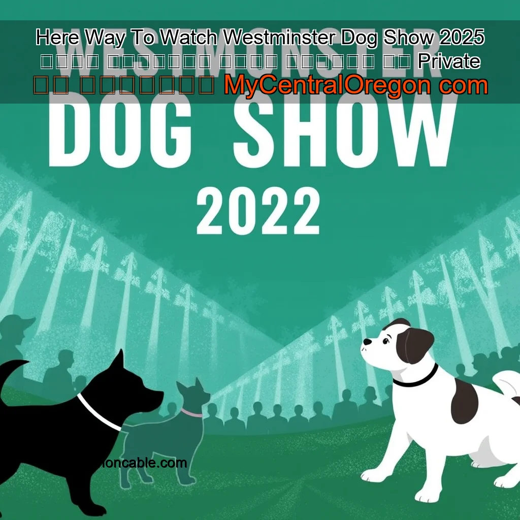 Artistic representation for Here Way To Watch Westminster Dog Show 2025 ＬＩＶＥ 𝐒𝐭𝐫𝐞𝐚𝐦𝐬 𝙵𝚛𝚎𝚎 𝖮𝗇𝗅𝗂𝗇𝖾 ＯＮ Private Ｔｖ Ｃｈａｎｎｅｌ MyCentralOregon com