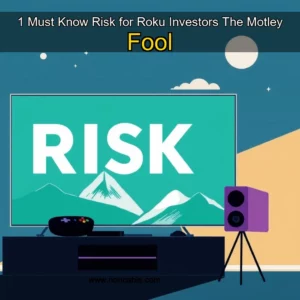 Artistic representation for 1 Must Know Risk for Roku Investors The Motley Fool
